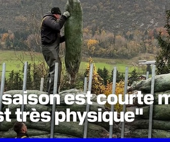 Replay ROBIN DE BFM - En Savoie, la coupe des sapins de Noël a démarré