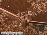 Replay Un jour, un doc - Un hôtel de luxe au cœur des vignes