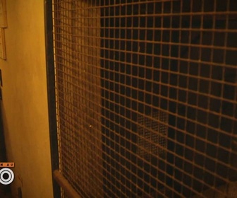 Replay Une saison au zoo - S12 E45