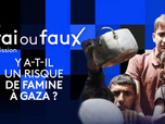 Replay Vrai ou faux, l'émission - Y a-t-il un risque de famine à Gaza ?