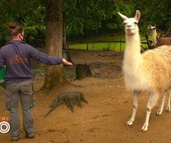 Replay Une saison au zoo - S14 E8