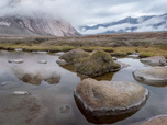 Replay Baffin, une île au coeur de la banquise