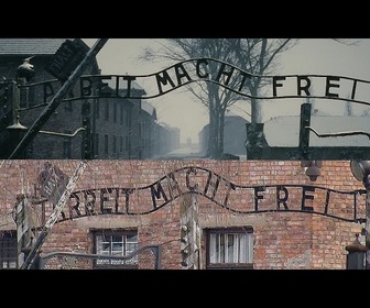 Replay Le musée d'Auschwitz dévoile la reconstitution numérique du camp allemand