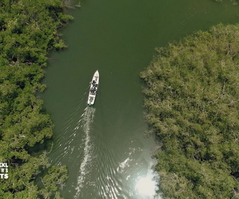 Replay Pêche XXL : derniers géants - S3E2 - Dans l'ombre du requin