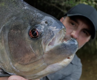 Replay Pêche XXL - S3E4 - Le dévoreur de l'Amazonie