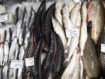 Replay Le marché Obor - Le ventre de Bucarest