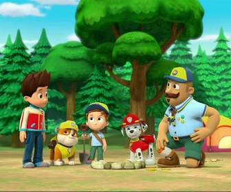 Replay Paw Patrol, la Pat'Patrouille - Alex le louveteau