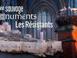 Replay La vie sauvage des monuments - Les Résistants