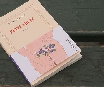 Replay ARTE Journal - Petit fruit : le désir d'enfant de Marion Fayolle