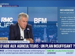Replay Good Morning Business - Plan d'aide aux agriculteurs : un plan insuffisant ?