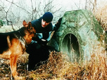 Replay Rex, chien flic - 04/08/2026