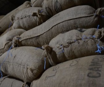 Replay ARTE Journal - Crise du cacao en Côte d'Ivoire