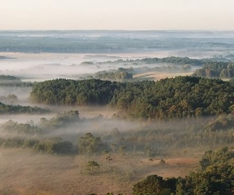 Replay New Forest, une forêt royale - Les parcs nationaux du Royaume-Uni