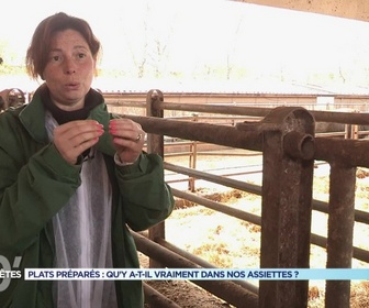 Replay 90' Enquêtes - Plats préparés : qu'y a-t-il vraiment dans nos assiettes ?