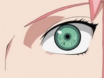 Replay Naruto Shippuden - S9 E1 - La confession de Sakura
