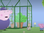 Replay Peppa Pig - La serre de Papy Pig
