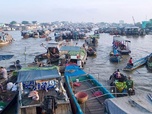 Replay Le sud du Vietnam au fil de l'eau