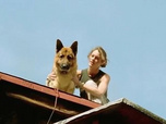 Replay Rex, chien flic - Drôles de cadeaux