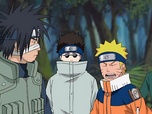 Replay Naruto Shippuden - S8 E6 - Le monde des animaux