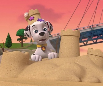 Replay Paw Patrol, la Pat'Patrouille - La disparition de la limande