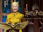 Replay Harry Potter : Le Tournoi des quatre maisons - La Grande finale