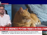 Replay Marschall Truchot : la journée la plus chaude jamais enregistrée en France - 24/06