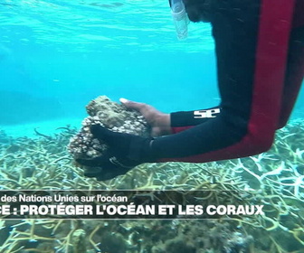 Replay Journal de l'Afrique - Conférence de l'ONU sur l'océan : à Maurice, protéger les coraux à tout prix