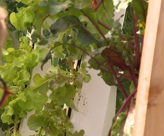 Replay La meilleure cuisine régionale, c'est chez moi ! - J4 : Normandie