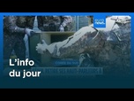 Replay L'info du jour | 4 août 2025 - Soir