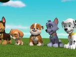 Replay Paw Patrol, la Pat'Patrouille - Galinetta pilote un avion