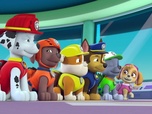 Replay Paw Patrol, la Pat'Patrouille - Le mambo des hippos