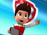 Replay Paw Patrol, la Pat'Patrouille - Des chatons qui sèment la pagaille