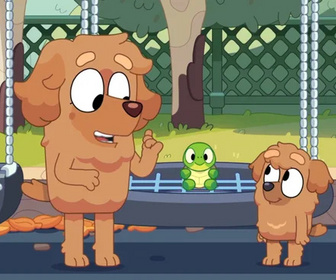 Replay Bluey - 08/10/2025