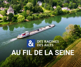 Replay Des Racines et Des Ailes