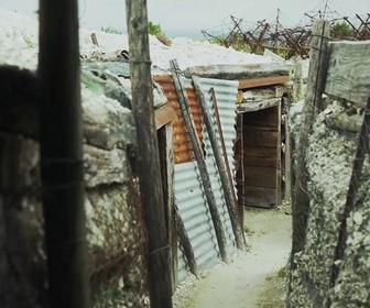 Replay 1914-18, des Indochinois au secours de la France