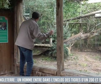 Replay Le 1245 du 11/10/2026