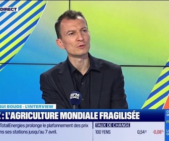 Replay Good Morning Business - Blocage du détroit d'Ormuz : l'agriculture mondiale fragilisée