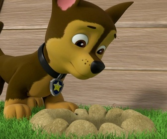 Replay Paw Patrol, la Pat'Patrouille - A la recherche du sac perdu