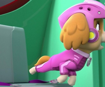 Replay Paw Patrol, la Pat'Patrouille - Du Surf en plein ciel