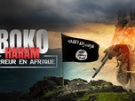 Replay Boko Haram : terreur en Afrique