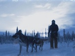 Replay Seuls face à l'Alaska - S8E13 - Saisir l'occasion