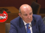 Replay 100% Sénat - Avion de combat du futur : audition du PDG de Dassault