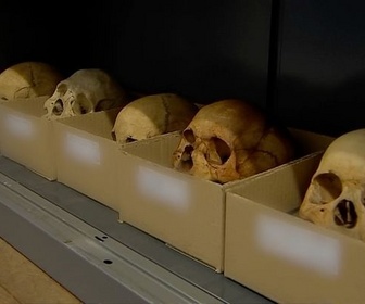 Replay ARTE Journal - Des ossements africains en quête de mémoire