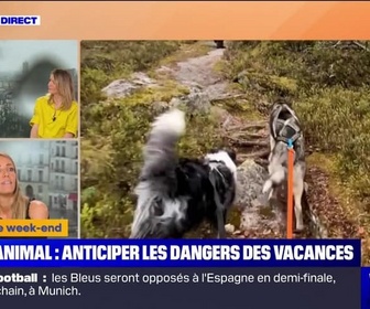 Replay Week-end première - Animal : anticiper les dangers des vacances - 06/07