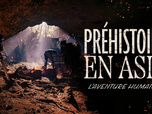 Replay Préhistoire en Asie : L'aventure humaine