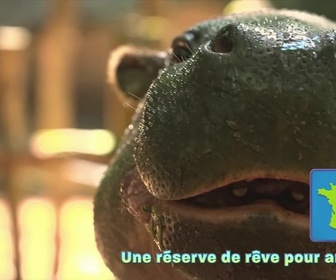 Replay Tfou d'Info du 12 août 2026
