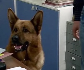 Replay Rex, chien flic - In vino veritas
