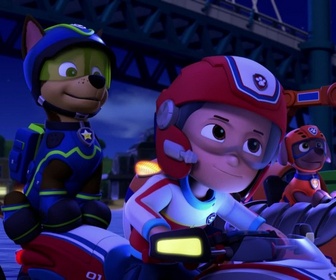 Replay Paw Patrol, la Pat'Patrouille - Un cargo en danger