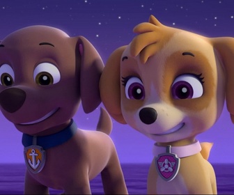Replay Paw Patrol, la Pat'Patrouille - Les chiens-sirènes