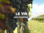 Replay C'est En France - Le vin en crise : les raisons d'un désamour
